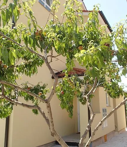 Διαμέρισμα Apartment Una Πούλα