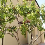 Apartamento Apartment Una Pula