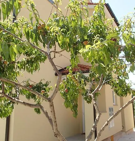 Apartamento Apartment Una Pula